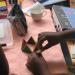 Ikwezi, Basic Concepts Training